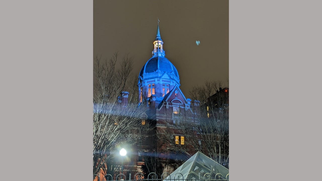 Hopkins Dome in blue